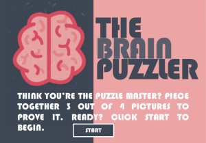 The Brain Puzzler